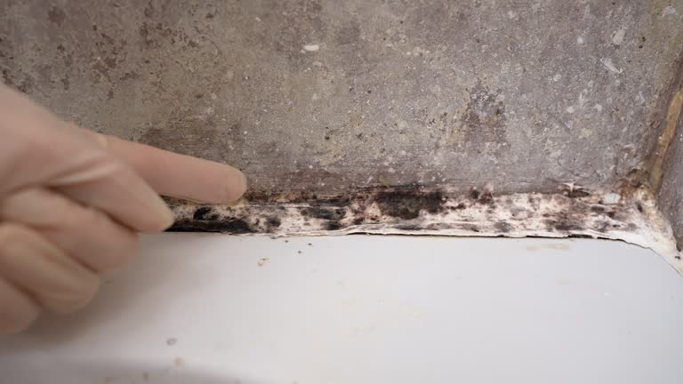 Asbestos and Lead Testing During Mold Inspection in Panorama Village, TX